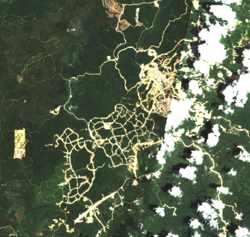 Deforestation Monitoring