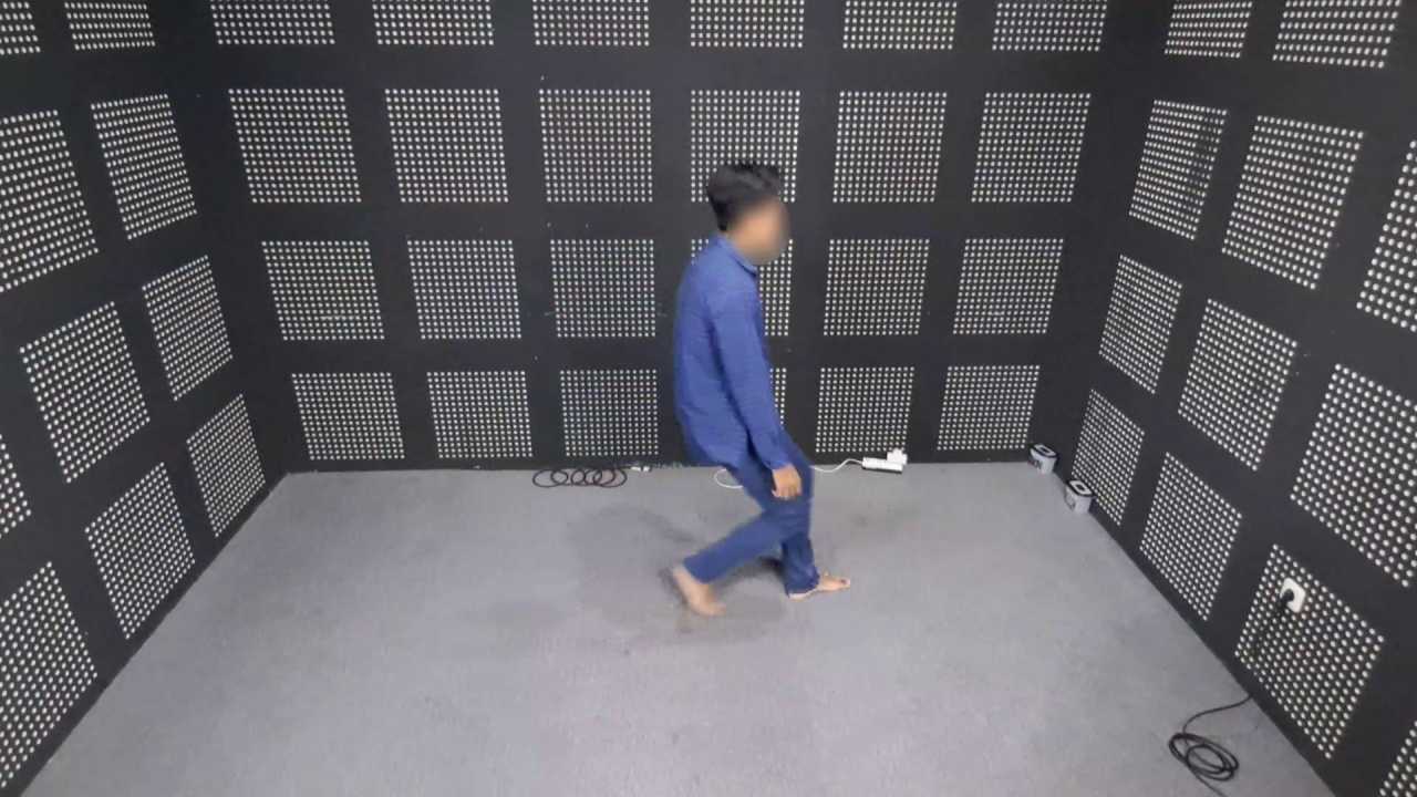 Fall Detection